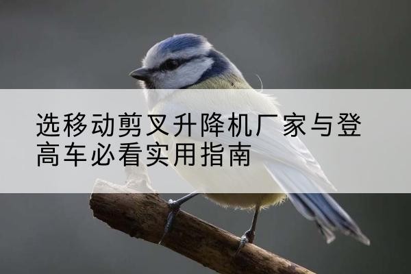 楚雄电动升降机厂家-选移动剪叉升降机厂家与登高车必看实用指南