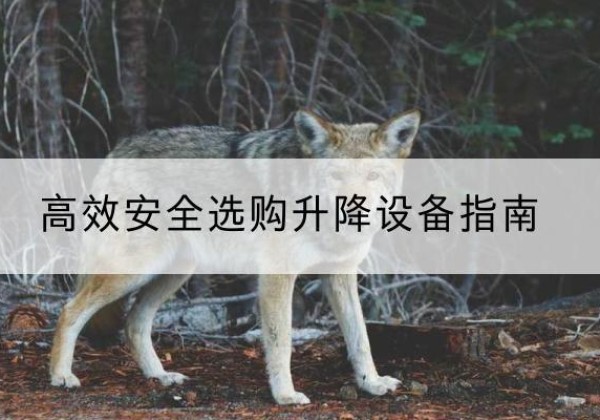 楚雄升降货梯厂家推荐-*安全选购升降设备指南