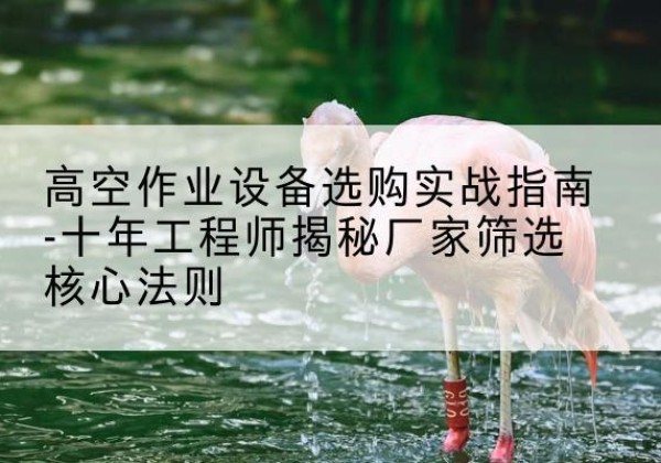 楚雄剪叉式升降机厂家-高空作业设备选购实战指南-十年工程师揭秘厂家筛选核心法则